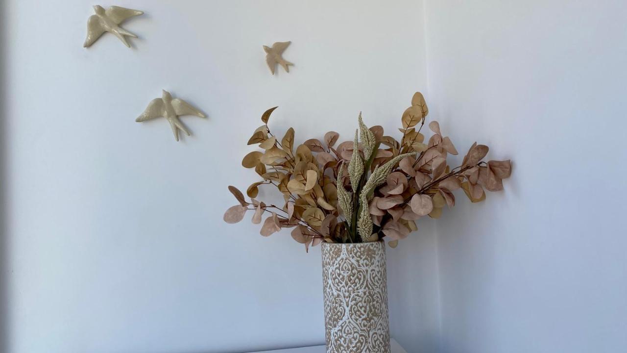 Chillin Santa Cruz Apartment - Close To Beach Retreat エクステリア 写真